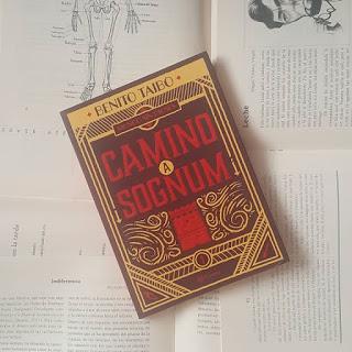 Camino a Sognum