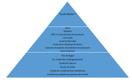 Aspectos centrales de los aportes del neurodesarrollo