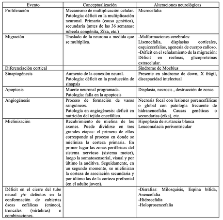 Aspectos centrales de los aportes del neurodesarrollo