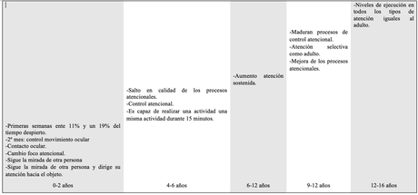 Aspectos centrales de los aportes del neurodesarrollo