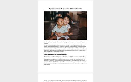 Aspectos centrales de los aportes del neurodesarrollo