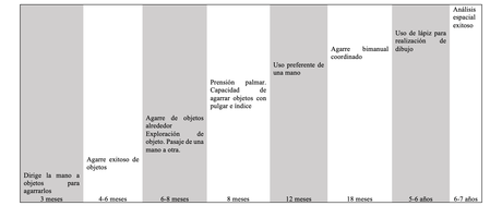 Aspectos centrales de los aportes del neurodesarrollo