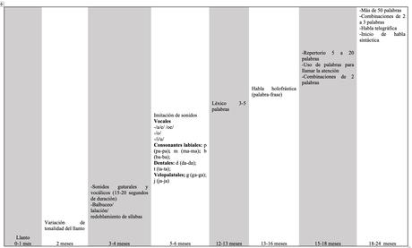 Aspectos centrales de los aportes del neurodesarrollo