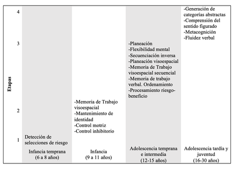 Aspectos centrales de los aportes del neurodesarrollo