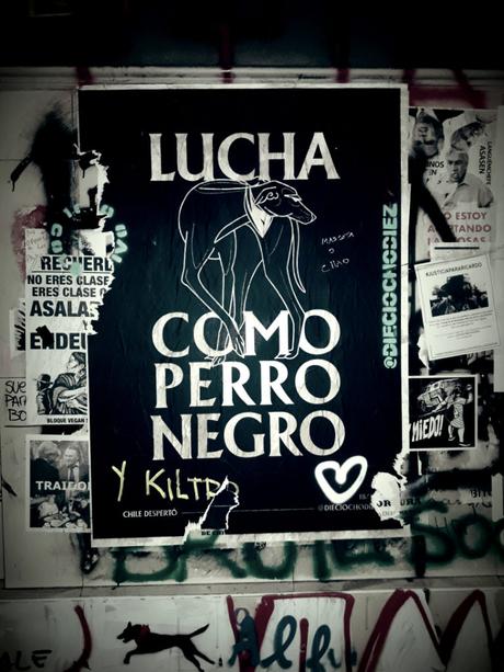 Reinventando Chile: Tres Meses Despierto y Contando…