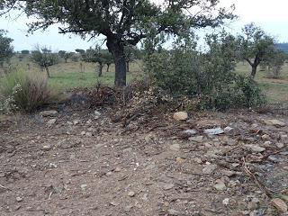 Imagen del mes: Dólmenes de Lagunita, en Santiago de Alcántara