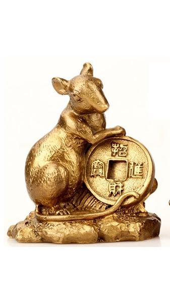 Dónde colocar la Rata este 2020