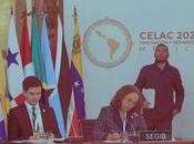 CELAC 2020: Pragmatismo político como estrategia para reconstruir unidad regional