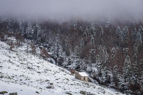 Aquella cabaña junto al río