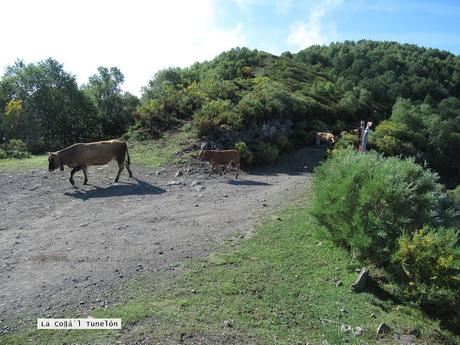 Parana-Tresconceyos-Bostabide