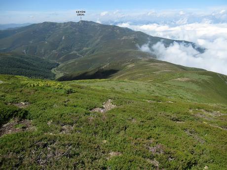 Parana-Tresconceyos-Bostabide