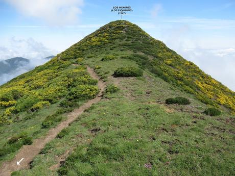 Parana-Tresconceyos-Bostabide