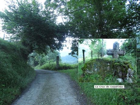 Parana-Tresconceyos-Bostabide