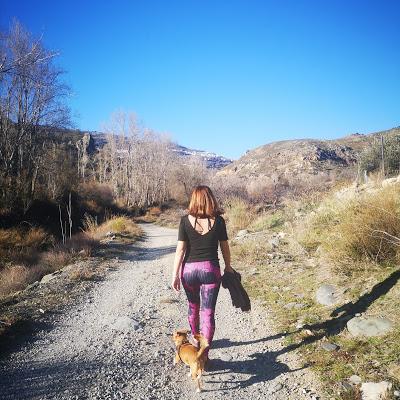 LAPINTURERA cumple 10 AÑOS...y cambia de rumbo.