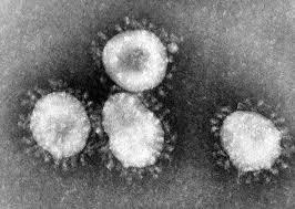 Coronavirus: ¿qué es y por qué está ‘de moda’?