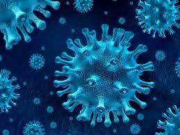 Coronavirus: ¿qué es y por qué está ‘de moda’?