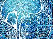 Ciencias Cognitivas: Seis condiciones para comprender cerebro.