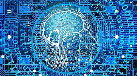 Ciencias Cognitivas: Seis condiciones para comprender el cerebro.