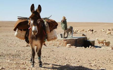 Podcast: Corredor Mediterráneo y burros contrabandistas
