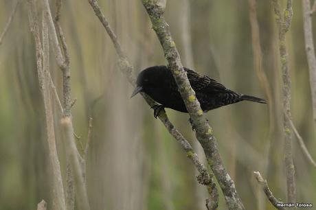 Una vuelta por Berra (septiembre de  2019)