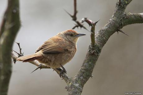 Una vuelta por Berra (septiembre de  2019)
