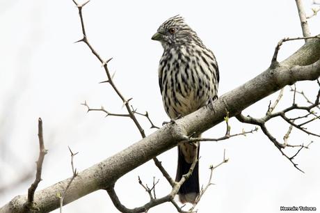 Una vuelta por Berra (septiembre de  2019)