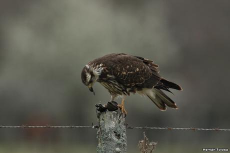 Una vuelta por Berra (septiembre de  2019)