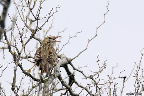 Una vuelta por Berra (septiembre de  2019)