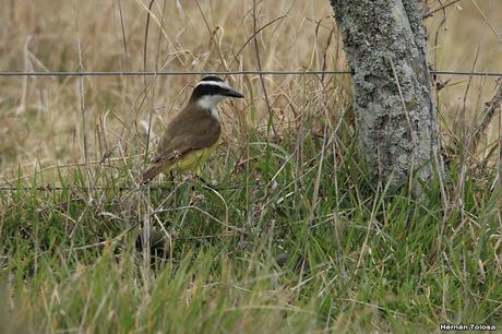 Una vuelta por Berra (septiembre de  2019)