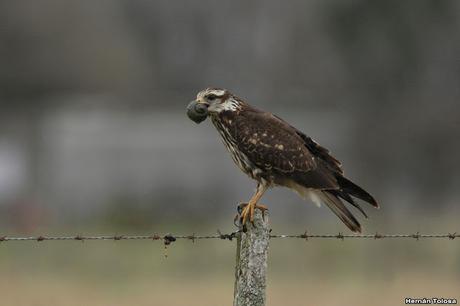 Una vuelta por Berra (septiembre de  2019)
