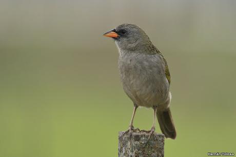 Una vuelta por Berra (septiembre de  2019)