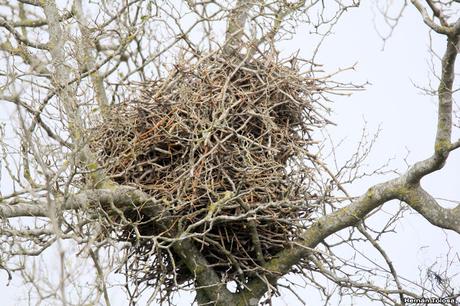 Una vuelta por Berra (septiembre de  2019)