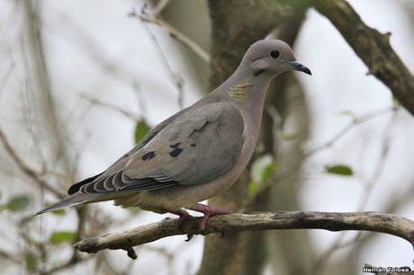 Una vuelta por Berra (septiembre de  2019)