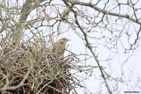 Una vuelta por Berra (septiembre de  2019)