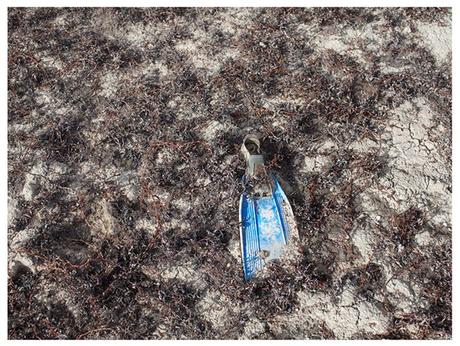 AridA, fotografía para reflexionar sobre la desertificación que sufre España