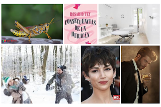 Consecuencias de un huracán - Rosario Tey