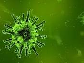 Noticias sobre coronavirus Wuhan enero 2020: contagio síntomas