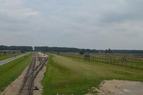 75º ANIVERSARIO DE LALIBERACIÓN DE AUSCHWITZ