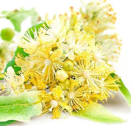 tila contraindicaciones