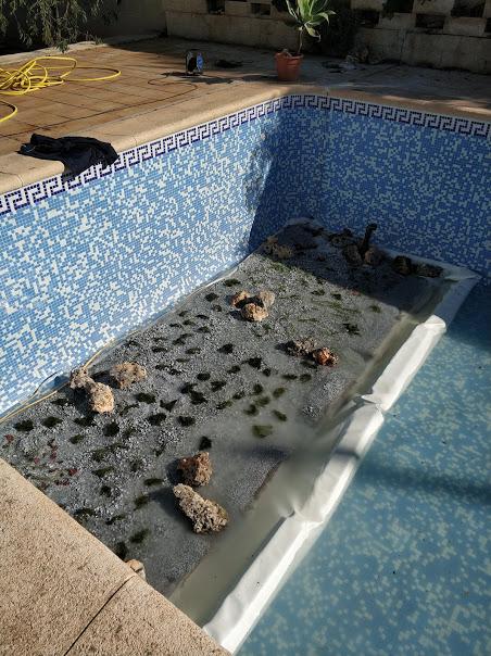 Colocación de las plantas destinadas al filtro biológico de la piscina de Dénia 