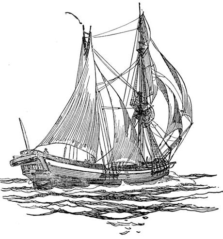 Pereda describe a los petaches Pereda describe a los petaches