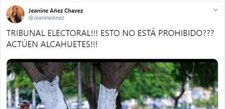 El Clan “Añez-Hincapié”: La Conexión Colombiana del Gobierno de Facto de #Bolivia (PARTE I)