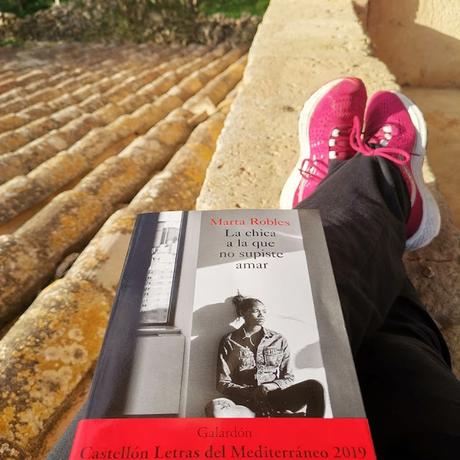 RESEÑA DE LA NOVELA 