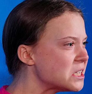 Greta Thunberg ya es marca comercial