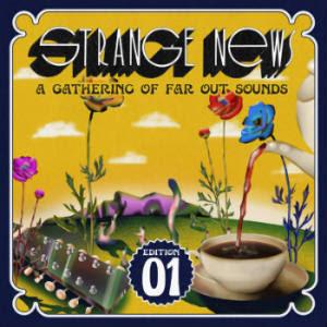 Strange News: A Gathering Of Far Out Sounds. Edition 01 (Third Eye Stimuli Records 2020)