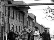 españoles salvaron miles judíos auschwitz otros campos