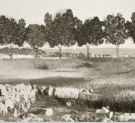 Senda de las Moreras, un camino nuevo en la Ciudad Vieja de Toledo