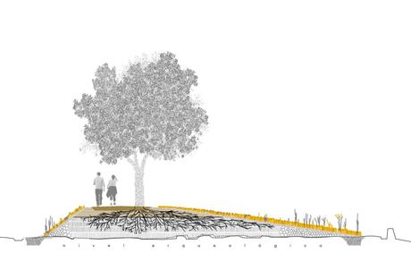 Senda de las Moreras, un camino nuevo en la Ciudad Vieja de Toledo