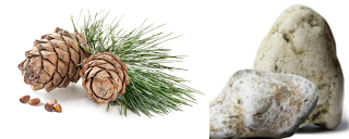 ENERO HUELE A …Chloé