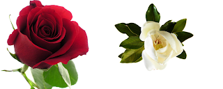 ENERO HUELE A …Chloé